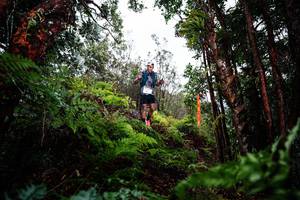 BIB: 
                            <button type="button" onclick="openModal(26201235)" class="btn btn-primary btn-sm float-right btn-popup" data-toggle="modal" data-target=".modal-high-quality">
                        <i class="fas fa-shopping-cart"></i> Add to Cart
                    </button>
                                            <button type="button" onclick="isThisMe(26201235, true)" class="btn btn-success btn-sm float-right btn-popup btn-isme hidden" data-toggle="tooltip" data-placement="bottom" title="นี่คือรูปของคุณใช่ไหม คลิกที่นี่เพื่อเอาเข้าอัลบั้ม">
                        <i class="fas fa-plus"></i> Add to album
                    </button>
                    <button type="button" onclick="isThisMe(26201235, false)" class="btn btn-warning btn-sm float-right btn-popup btn-isnotme hidden">
                        <i class="fas fa-ban"></i> Remove from album
                    </button>